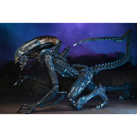 Neca Alien vs. Predator - Alien Realistic Appearance - Kompletter Satz von 3 Figuren