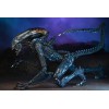 Neca Alien vs. Predator - Alien Realistic Appearance - Kompletter Satz von 3 Figuren