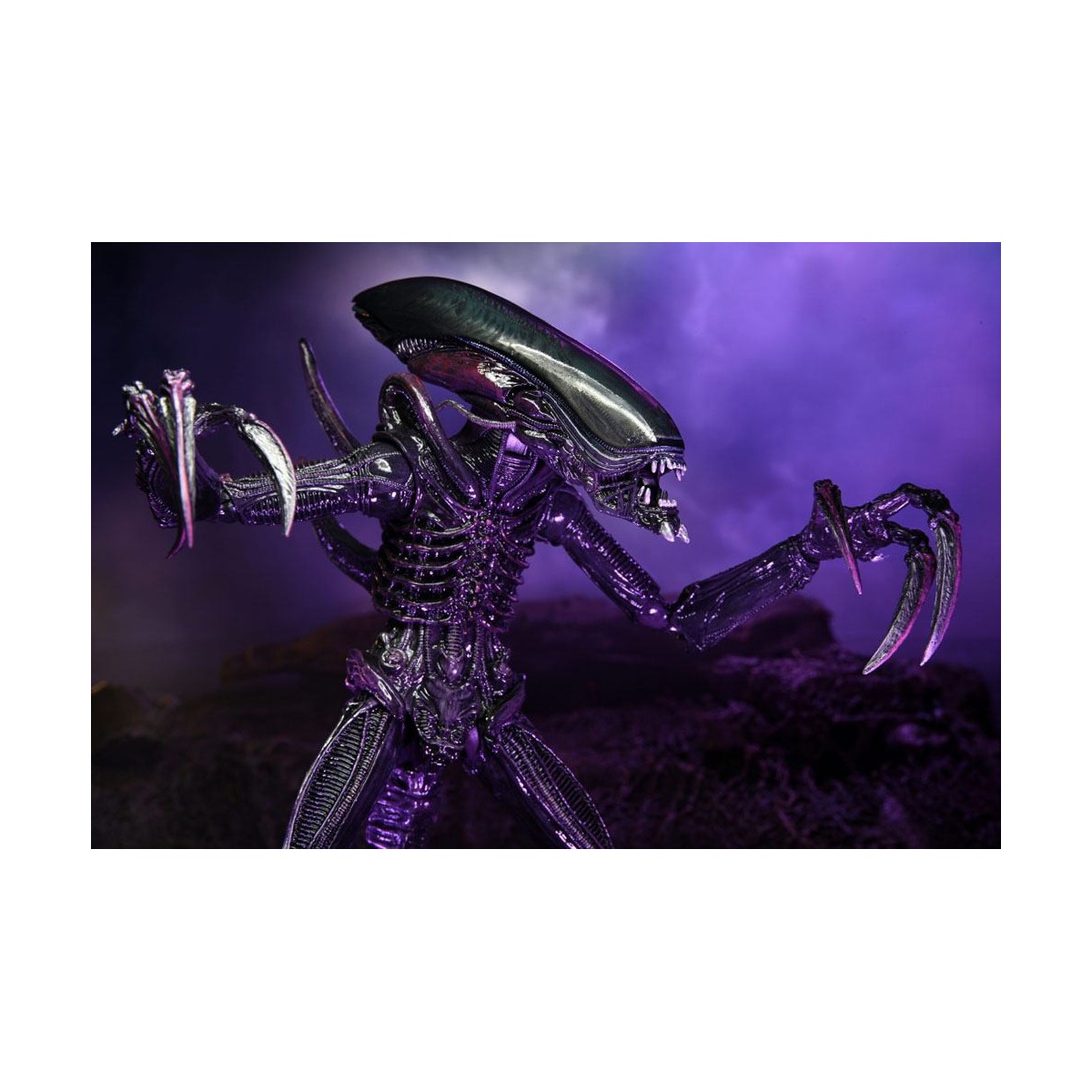 Neca Alien vs. Predator - Alien Realistic Appearance - Kompletter Satz von 3 Figuren