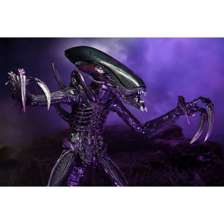 Neca Alien vs. Predator - Alien Realistic Appearance - Kompletter Satz von 3 Figuren