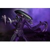 Neca Alien vs. Predator - Alien Realistic Appearance - Kompletter Satz von 3 Figuren