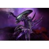Neca Alien vs. Predator - Alien Realistic Appearance - Kompletter Satz von 3 Figuren