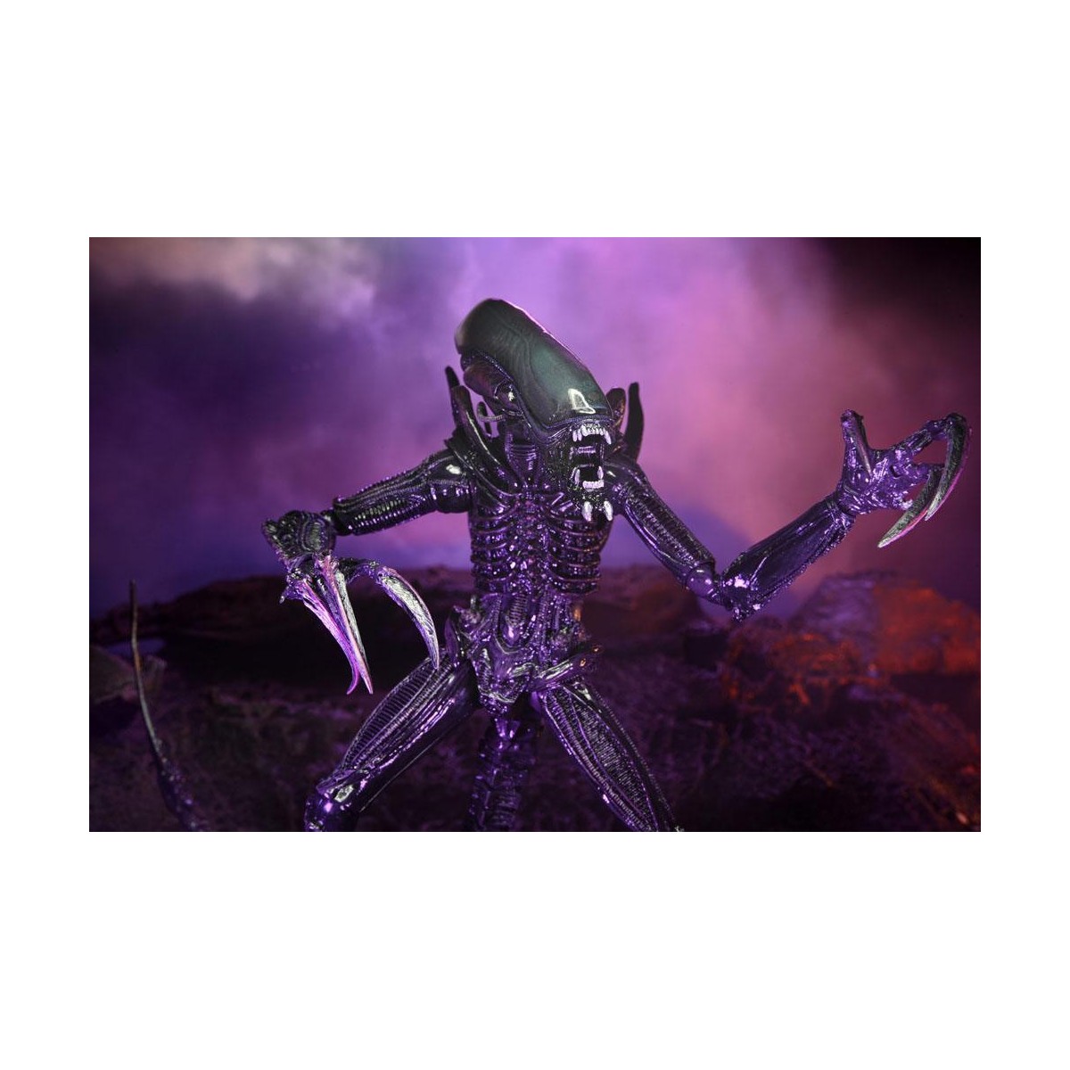 Neca Alien vs. Predator - Alien Realistic Appearance - Kompletter Satz von 3 Figuren