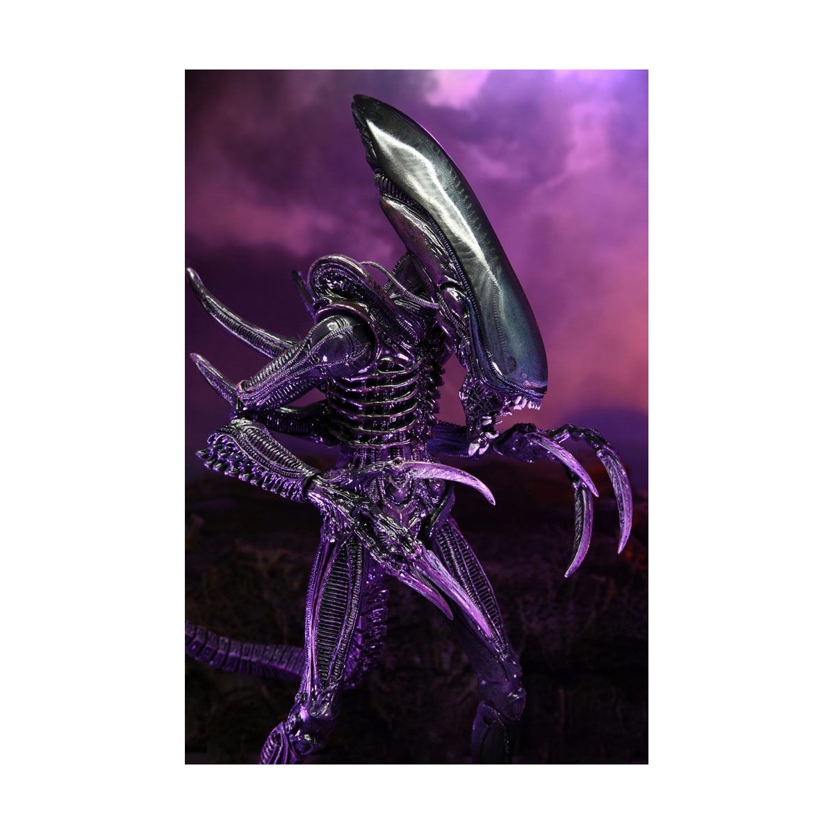 Neca Alien vs. Predator - Alien Realistic Appearance - Kompletter Satz von 3 Figuren