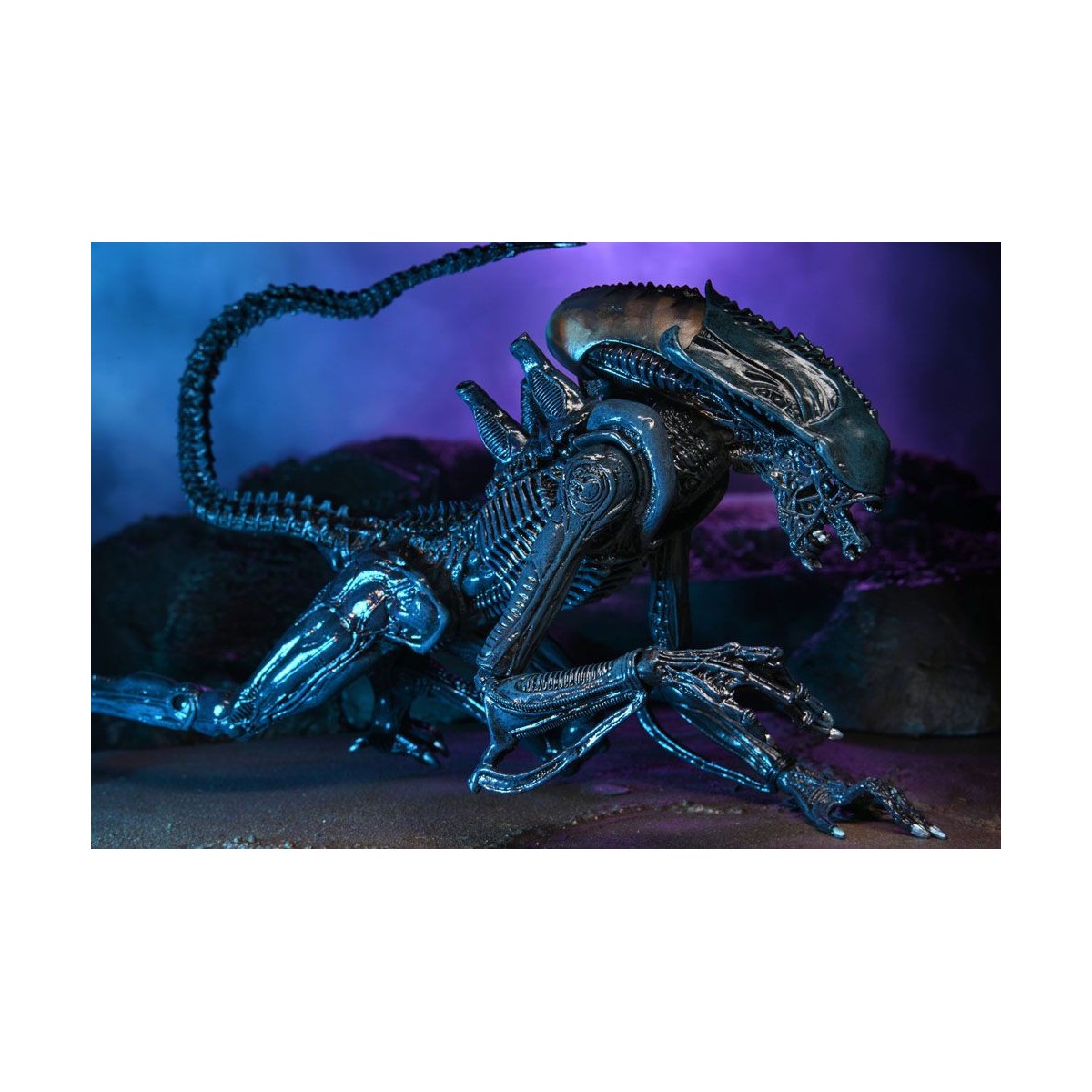 Neca Alien vs. Predator - Alien Realistic Appearance - Kompletter Satz von 3 Figuren