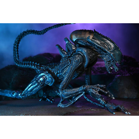 Neca Alien vs. Predator - Alien Realistic Appearance - Kompletter Satz von 3 Figuren