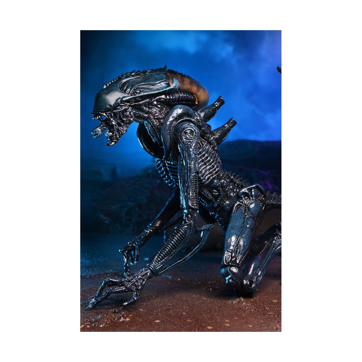 Neca Alien vs. Predator - Alien Realistic Appearance - Kompletter Satz von 3 Figuren