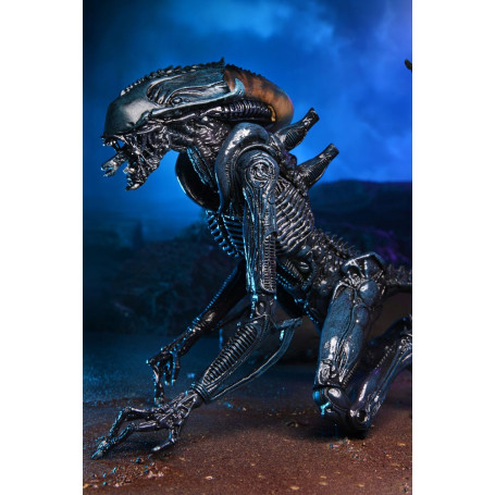 Neca Alien vs. Predator - Alien Realistic Appearance - Kompletter Satz von 3 Figuren