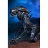 Neca Alien vs. Predator - Alien Realistic Appearance - Kompletter Satz von 3 Figuren