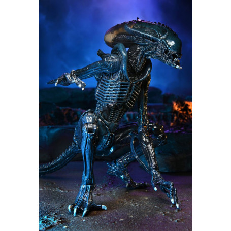 Neca Alien vs. Predator - Alien Realistic Appearance - Kompletter Satz von 3 Figuren