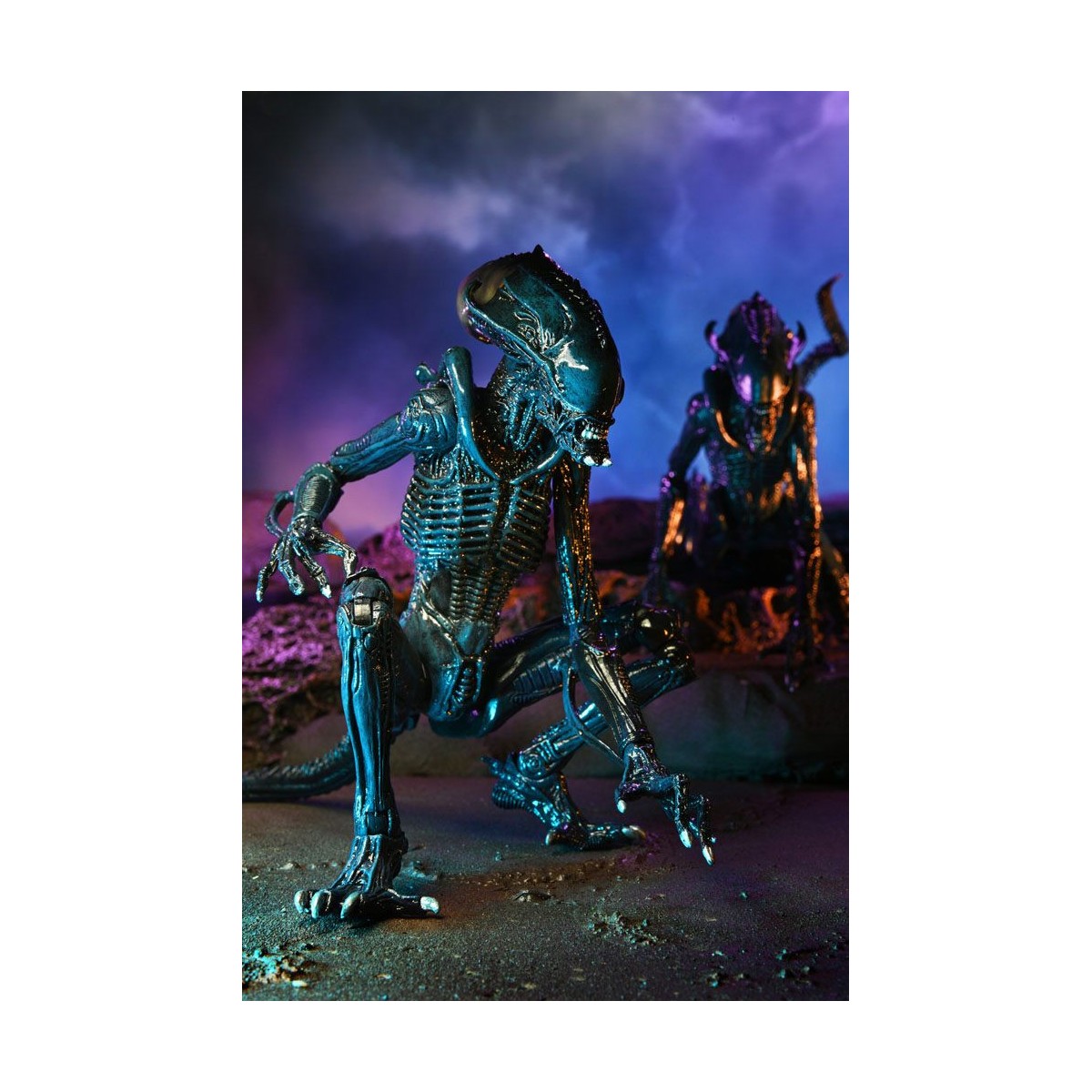 Neca Alien vs. Predator - Alien Realistic Appearance - Kompletter Satz von 3 Figuren