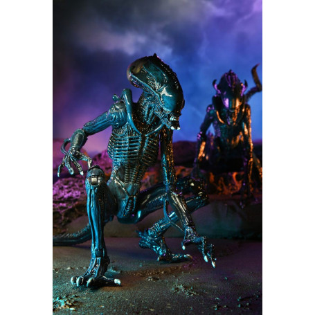 Neca Alien vs. Predator - Alien Realistic Appearance - Kompletter Satz von 3 Figuren