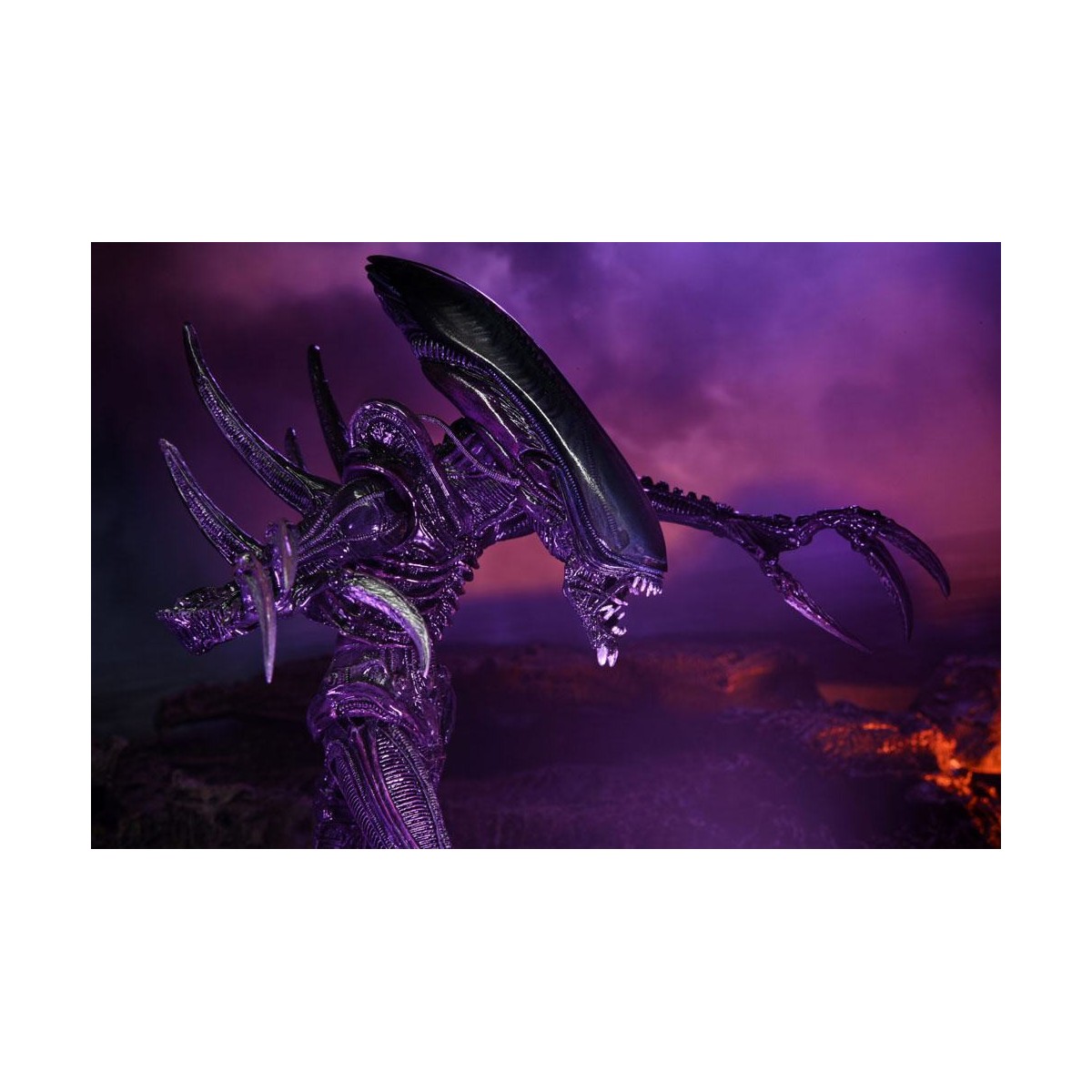 Neca Alien vs. Predator - Alien Realistic Appearance - Kompletter Satz von 3 Figuren
