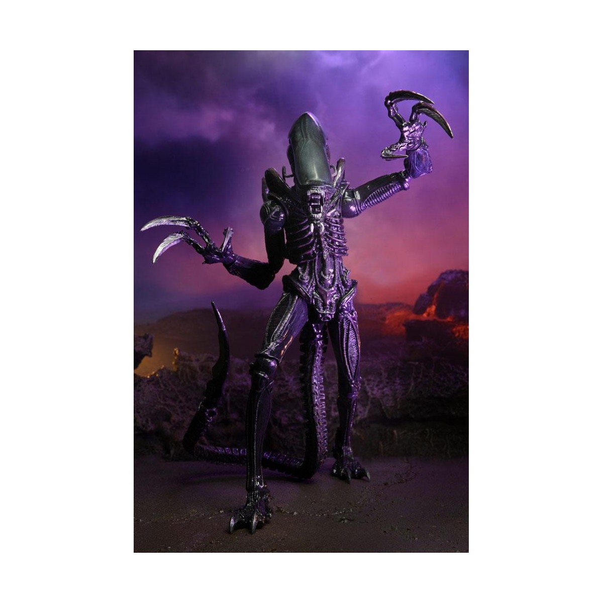 Neca Alien vs. Predator - Alien Realistic Appearance - Kompletter Satz von 3 Figuren