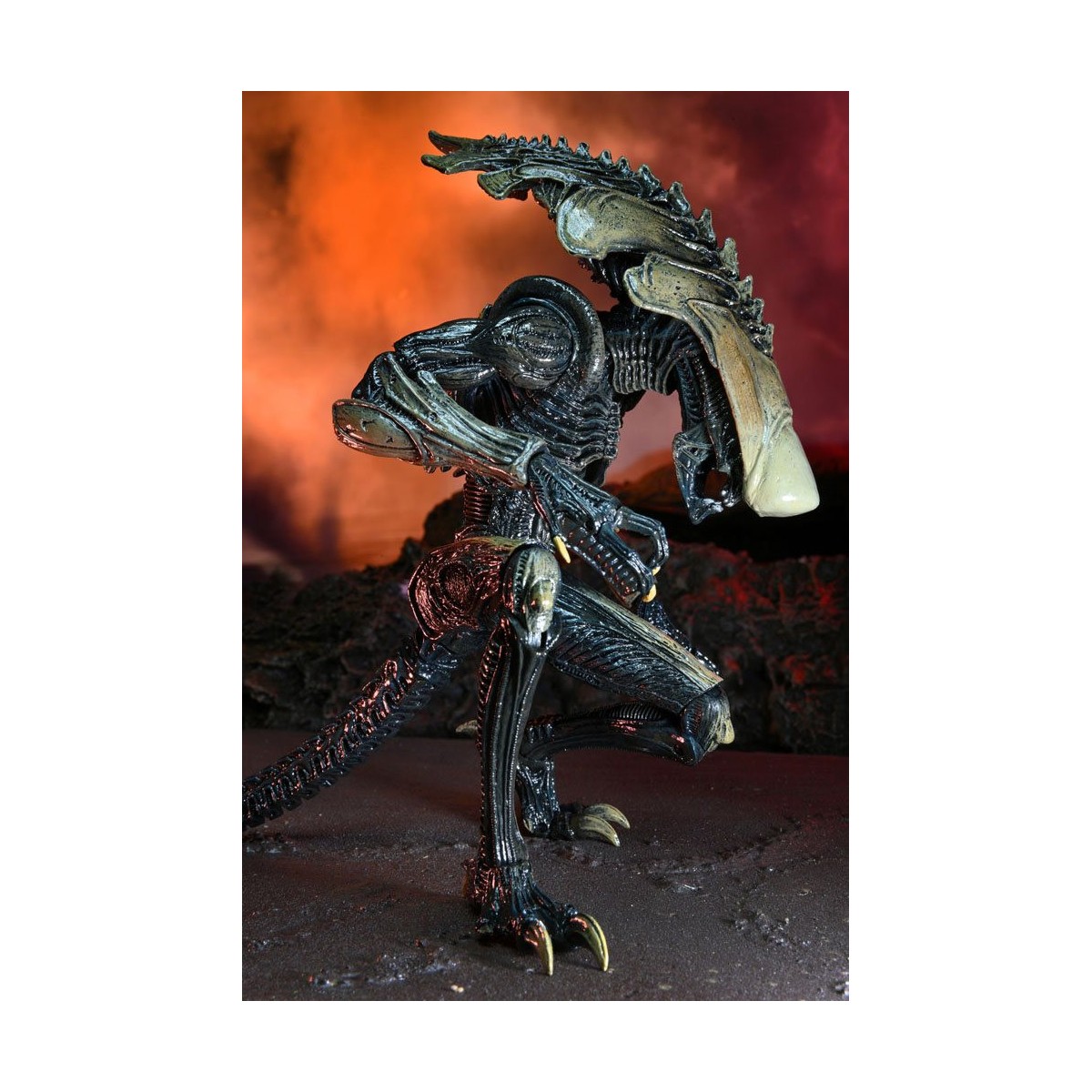 Neca Alien vs. Predator - Alien Realistic Appearance - Kompletter Satz von 3 Figuren