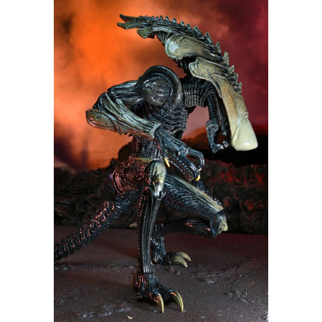Neca Alien vs. Predator - Alien Realistic Appearance - Kompletter Satz von 3 Figuren