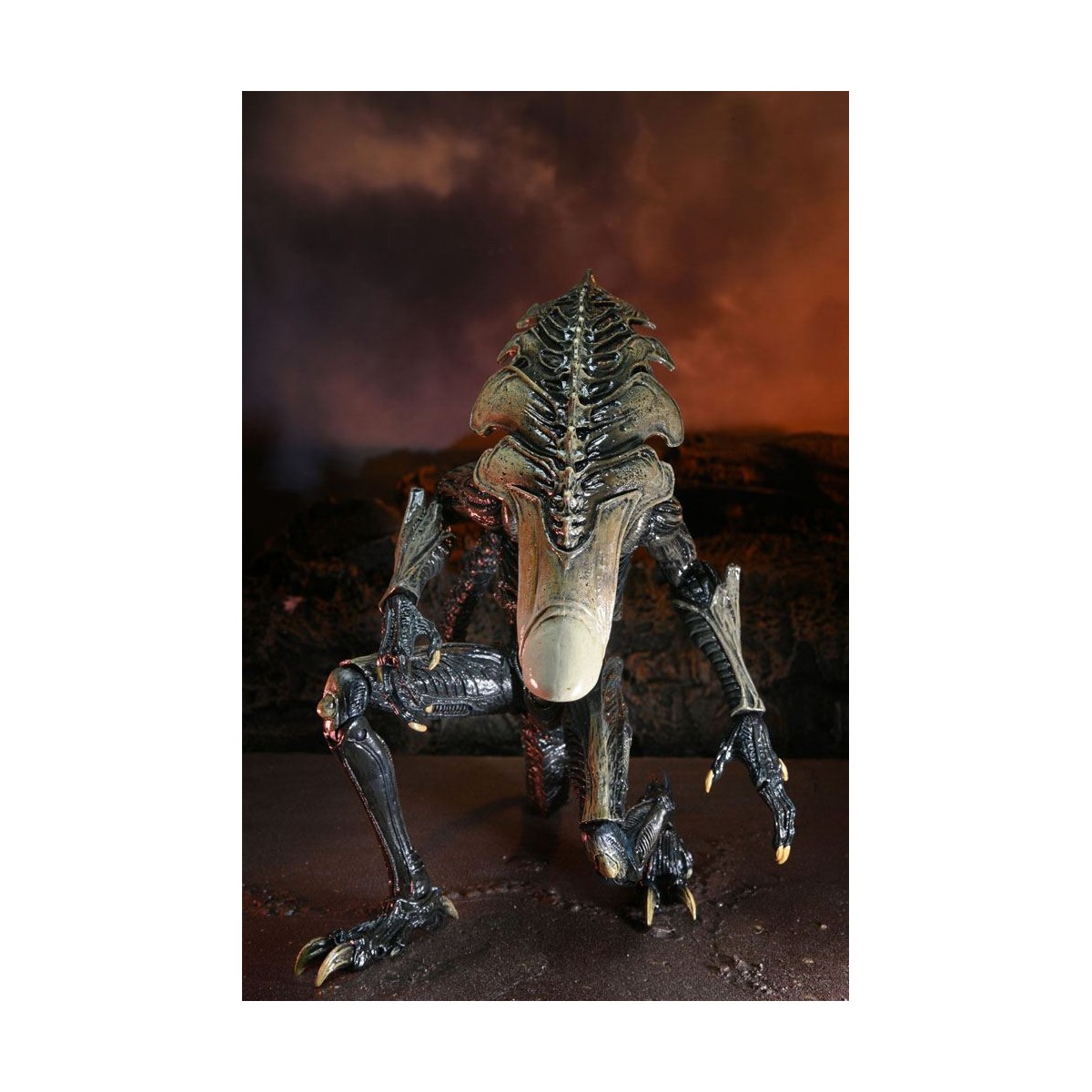 Neca Alien vs. Predator - Alien Realistic Appearance - Kompletter Satz von 3 Figuren