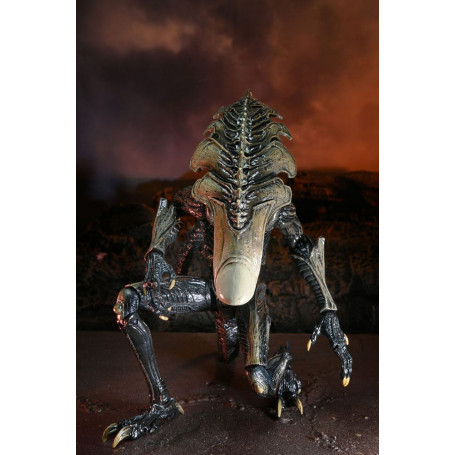 Neca Alien vs. Predator - Alien Realistic Appearance - Kompletter Satz von 3 Figuren
