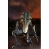Neca Alien vs. Predator - Alien Realistic Appearance - Kompletter Satz von 3 Figuren