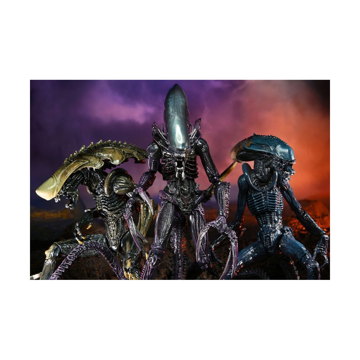 Neca Alien vs. Predator - Alien Realistic Appearance - Kompletter Satz von 3 Figuren
