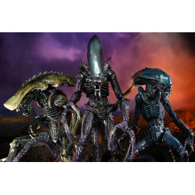 Neca Alien vs. Predator - Alien Realistic Appearance - Kompletter Satz von 3 Figuren