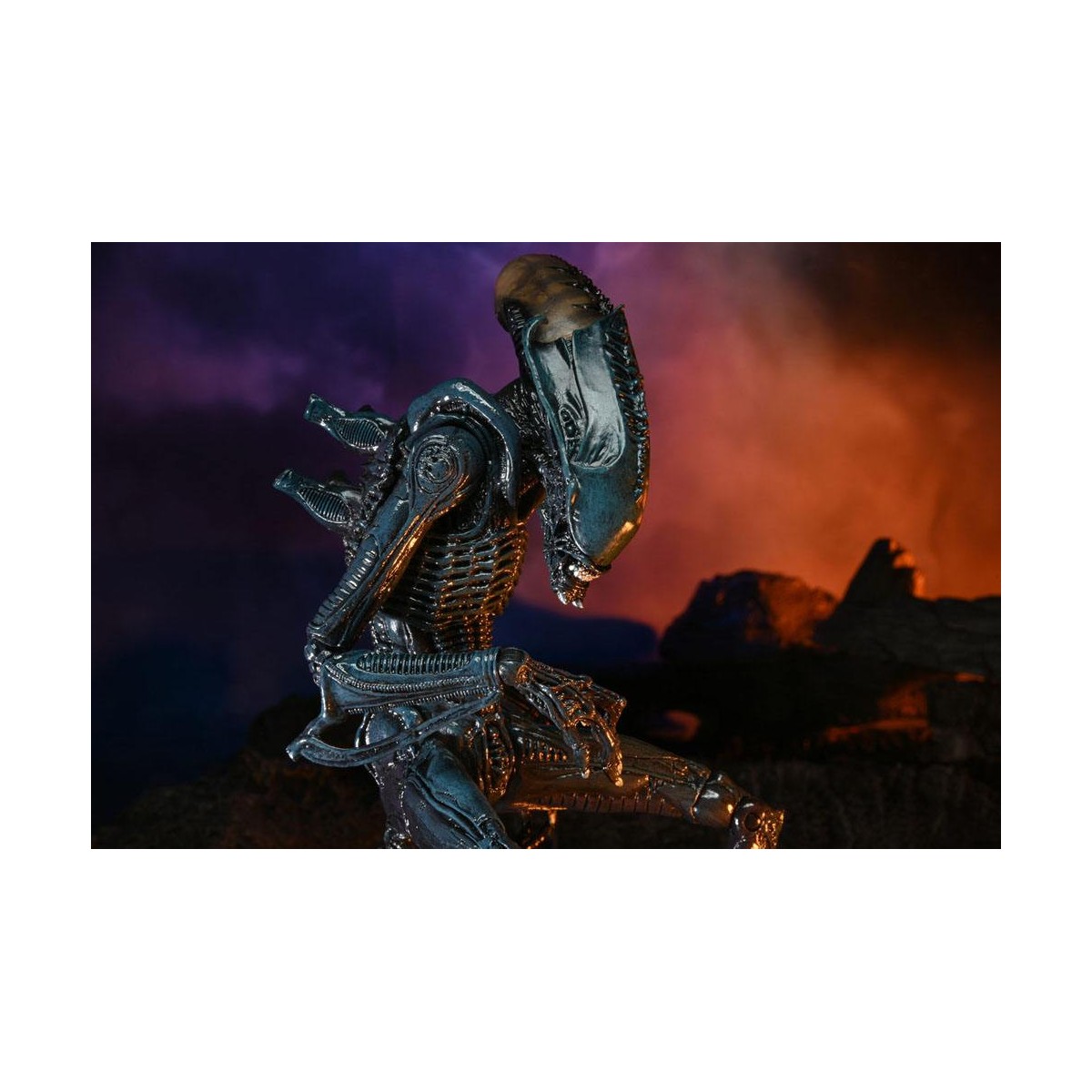 Neca Alien vs. Predator - Alien Realistic Appearance - Kompletter Satz von 3 Figuren