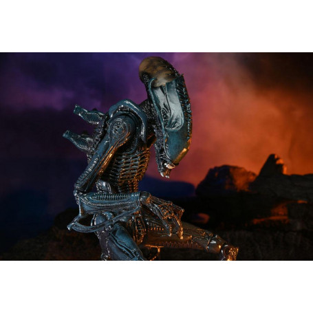 Neca Alien vs. Predator - Alien Realistic Appearance - Kompletter Satz von 3 Figuren