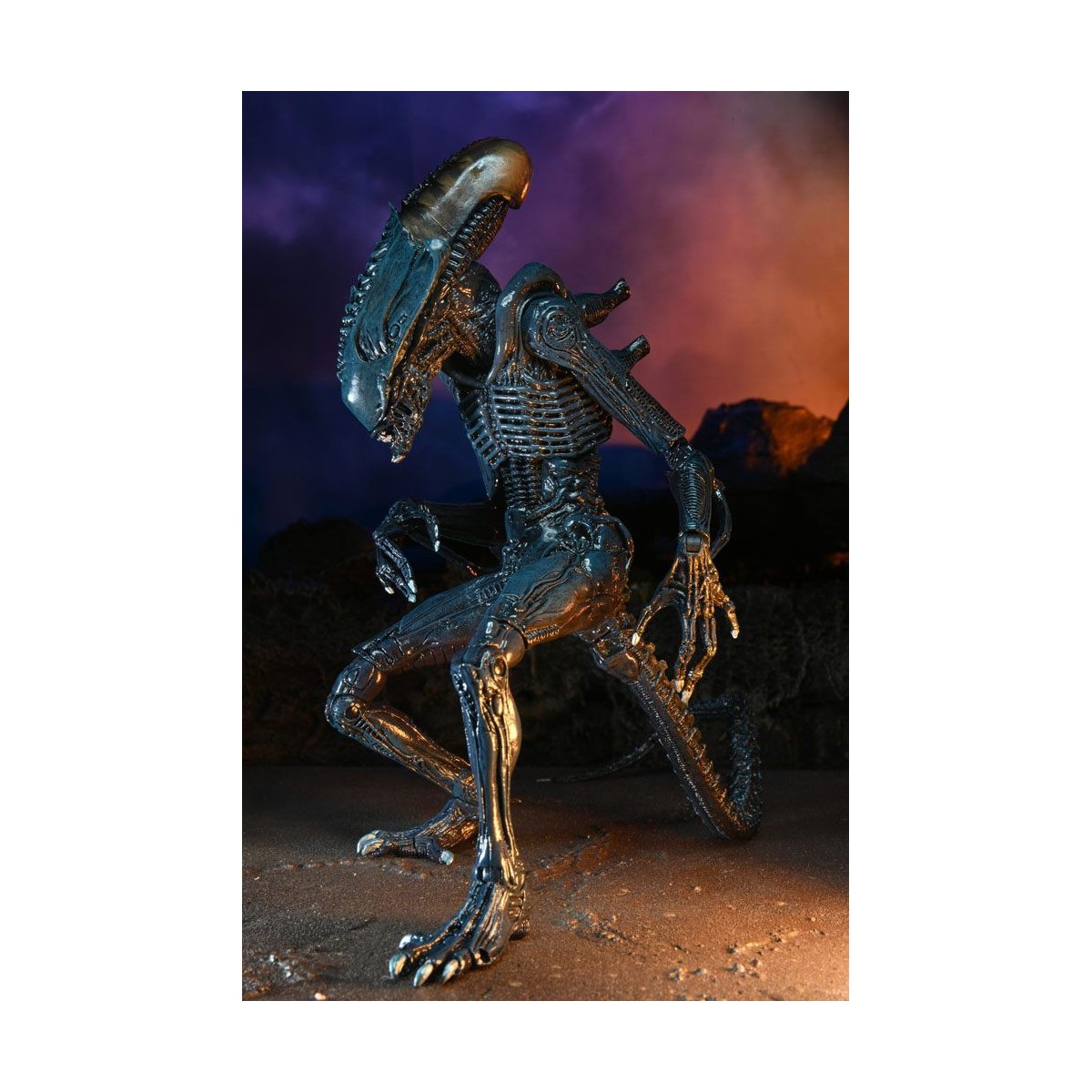 Neca Alien vs. Predator - Alien Realistic Appearance - Kompletter Satz von 3 Figuren