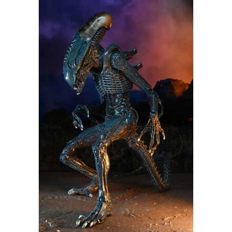 Neca Alien vs. Predator - Alien Realistic Appearance - Kompletter Satz von 3 Figuren