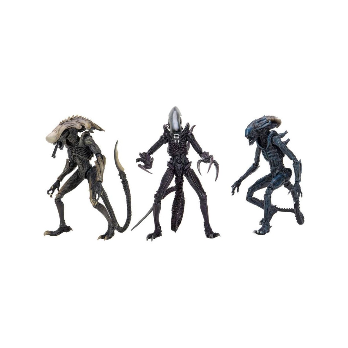 Neca Alien vs. Predator - Alien Realistic Appearance - Kompletter Satz von 3 Figuren