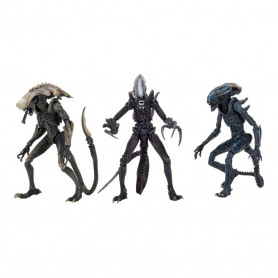 Neca Alien vs. Predator - Alien Realistic Appearance - Kompletter Satz von 3 Figuren