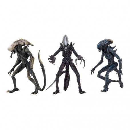 Neca Alien vs. Predator - Alien Realistic Appearance - Kompletter Satz von 3 Figuren