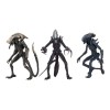 Neca Alien vs. Predator - Alien Realistic Appearance - Kompletter Satz von 3 Figuren