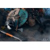 Pure Arts - Assassin's Creed: Valhalla Eivor 1/6 Scale Articulated Figure