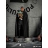 IRON STUDIOS - Luke Skywalker & Grogu BDS Art Scale 1/10 - Star Wars The Mandalorian