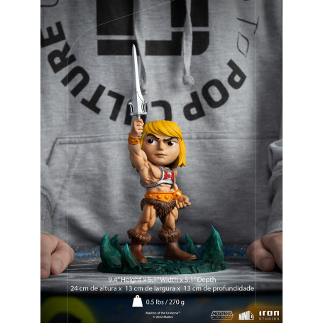 Iron Studios - HE MAN - Die Masters of the Universe Actionfigur Mini Co. PVC