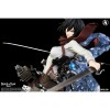 Kitsune - Angriff der Titanen - Mikasa Ackerman 