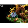 Cartoon Kingdom - Die Marsupilami-Familie Diorama 1/6 