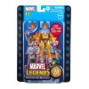 Marvel Legends series - TOAD 20th Anniversary Series 1 - Hasbro