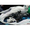 Taka Corp - HELLER FURIER & DIE NACHTLICHTEN - How to Train Your Dragon - 1/6