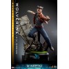 Hot Toys - Wolverine (1973 Version) Deluxe Version - X-Men Days of Future Past Figurine Movie Masterpiece 1/6