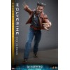 Hot Toys - Wolverine (1973 Version) Deluxe Version - X-Men Days of Future Past Figurine Movie Masterpiece 1/6