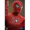 Hot Toys - Friendly Neighborhood Spider-Man (Deluxe Version) - Marvel's Spider-Man: No Way Home Figurine Movie Masterpiece 1/6