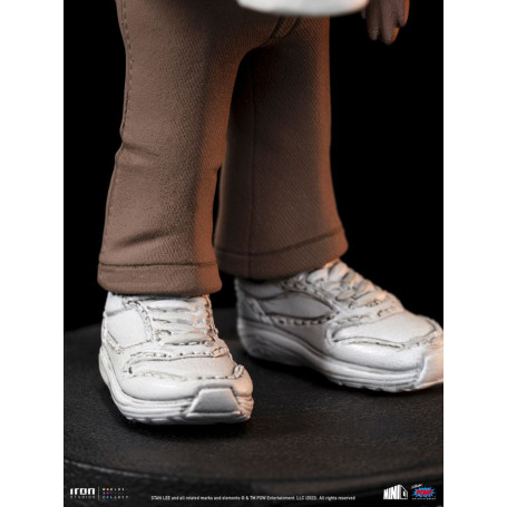Iron Studios - Stan Lee Actionfigur mit Grumpy Cat - Mini Co.