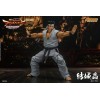 Storm Collectibles - Akira Yuki - Virtua Fighter 5 Ultimate Showdown 1/12
