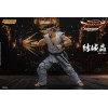 Storm Collectibles - Akira Yuki - Virtua Fighter 5 Ultimate Showdown 1/12