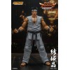 Storm Collectibles - Akira Yuki - Virtua Fighter 5 Ultimate Showdown 1/12
