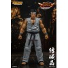 Storm Collectibles - Akira Yuki - Virtua Fighter 5 Ultimate Showdown 1/12