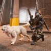 Hasbro G.I.JOE - Set bestehend aus 2 Figuren Snake eyes & Timber - Classified Series