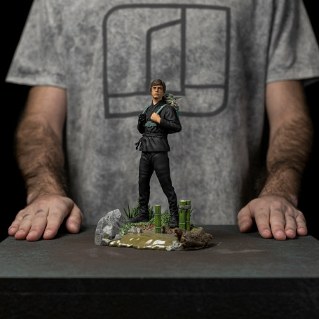 IRON STUDIOS - Luke Skywalker and Grogu Training 1:10 BDS Art Scale 1/10 - Star Wars The Book of Boba Fett
